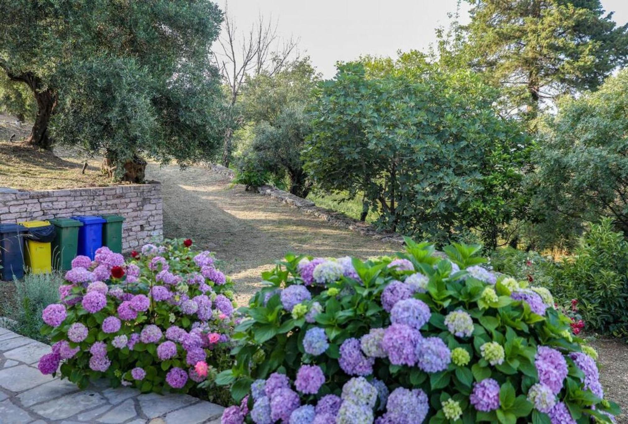 Sinies Stone Cottage - Ne Corfu Agnítsini エクステリア 写真