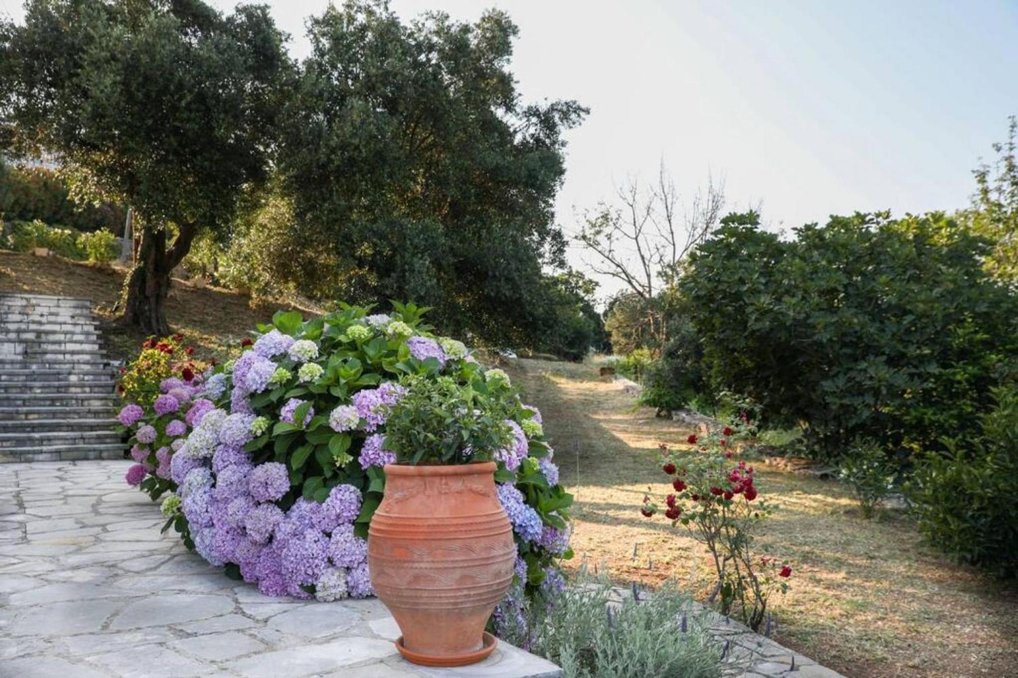 Sinies Stone Cottage - Ne Corfu Agnítsini エクステリア 写真